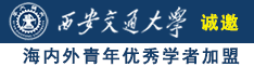 www.caobi.诚邀海内外青年优秀学者加盟西安交通大学