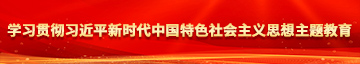 胖女人av网站学习贯彻习近平新时代中国特色社会主义思想主题教育